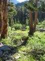N of Dollar Lake * Heading north (and descending) from Dollar Lake * 488 x 650 * (172KB)