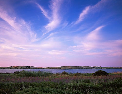 Summer at the Cape (40k)