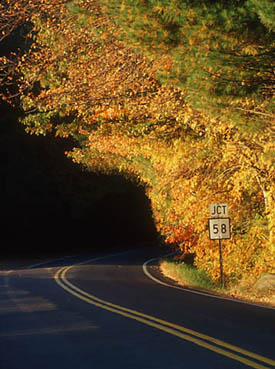 Fall Road  (38444 bytes)