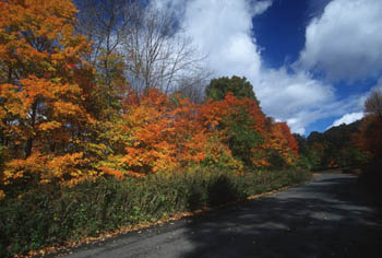 Redding Road (26858 bytes)