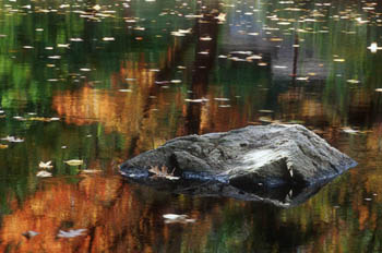 Rock in Trout Pond (26974 bytes)