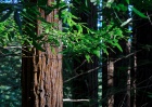 January 2012 Photos