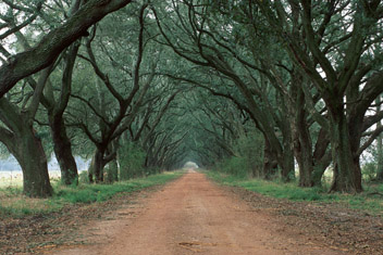 Plantation Road