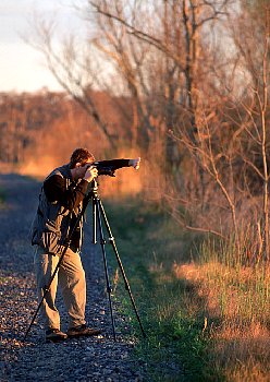 Evan at Work