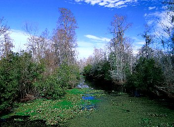 View from a Foot Bridge