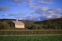Harvest Time, Vermont