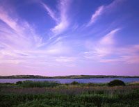 Dunes at Provincetown, Cape Cod, Large Prints from 4"x5" original