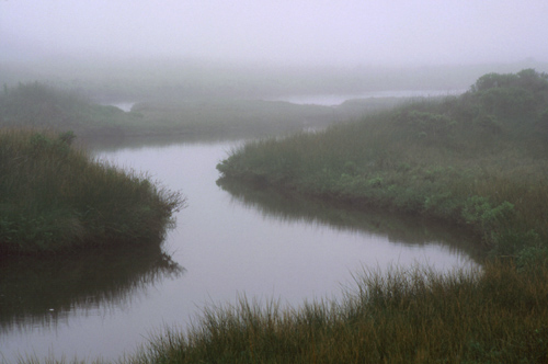 FogHP.jpg (72142 bytes)