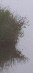 FogHPZoom.jpg (18812 bytes)