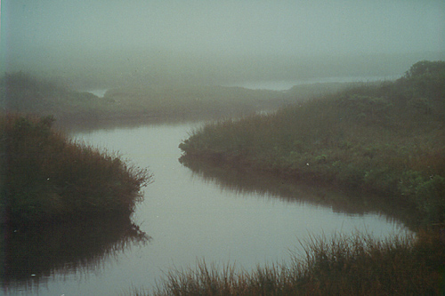 FogPrint.jpg (89930 bytes)