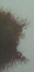FogPrintZoom.jpg (19632 bytes)