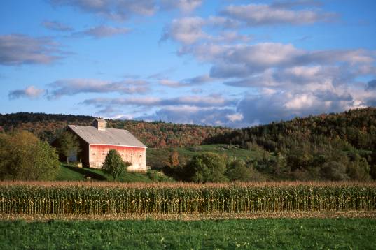 VtTNBarnSS.jpg (33456 bytes)