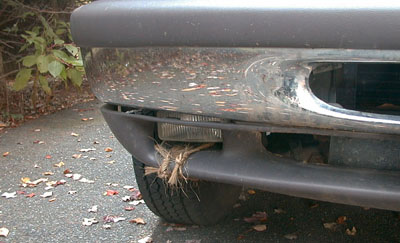 VtTNbumper.jpg (33353 bytes)