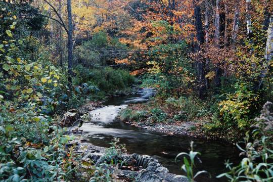 VtTNnightcreek.jpg (63967 bytes)