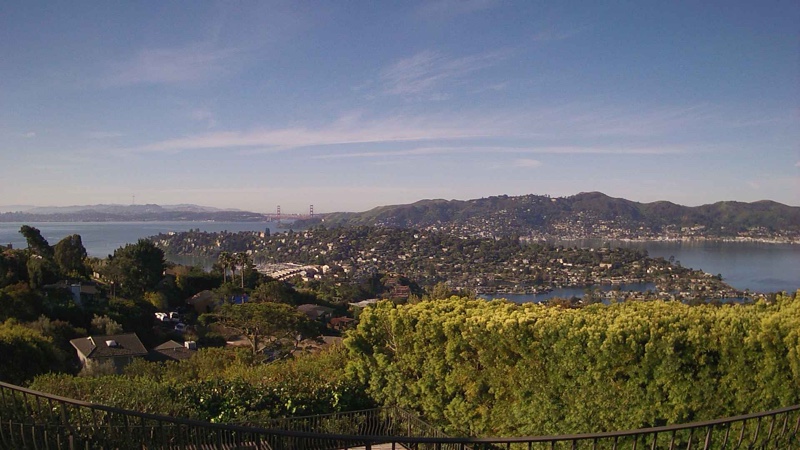 tiburon / webcam 